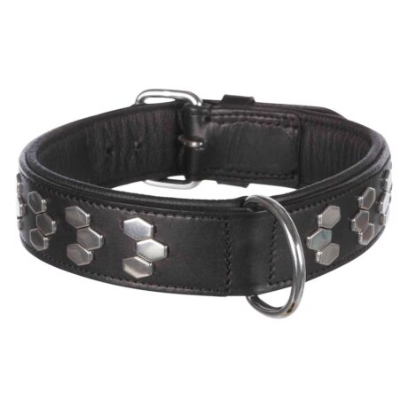 Trixie Active Περιλαίμιο Δερμάτινο Μαύρο με Κουμπιά XLarge 65-75cm/40m