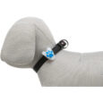 Trixie-Flasher-Oe2-4-Cm-8-Cm-Hvid-Med-Potte-4011905134406-7-P_Webp