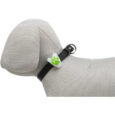 Trixie-Flasher-Oe2-4-Cm-8-Cm-Hvid-Med-Potte-4011905134406-8-P_Webp