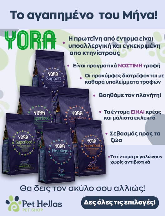 0-02-05-1D23858F220Ccafbbc1338E96Fcb392D9Fee901D8Bff0513E589E8114E0D49F1_3950Acf1C0C536D1