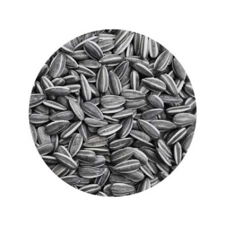 Harmony Ηλιόσπορος Ριγέ μεγάλος 20kg