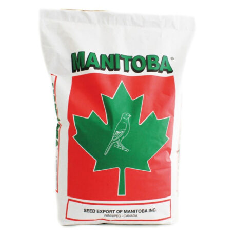 Manitoba T3 Platino για Καναρίνια Χρώματος 1kg Χύμα