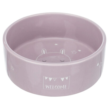 Trixie Junior Κεραμικό Πιάτο 300ml/12cm
