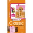 Classic-With-Lamb-Rice-Adult-All-Breeds-20Kg_300Dpi