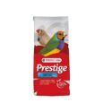 Tropicalfinch