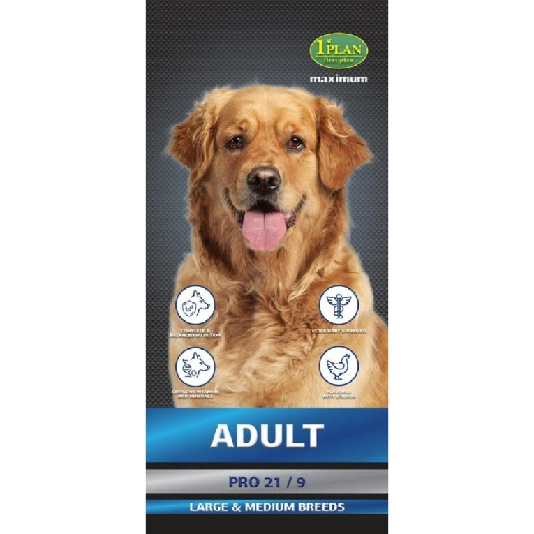 PETHELLAS_Ξηρά τροφή σκύλου συντήρησης First plan 20kg