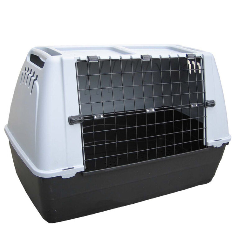 klouvi-metaforas-bracco-zoopat-800x800