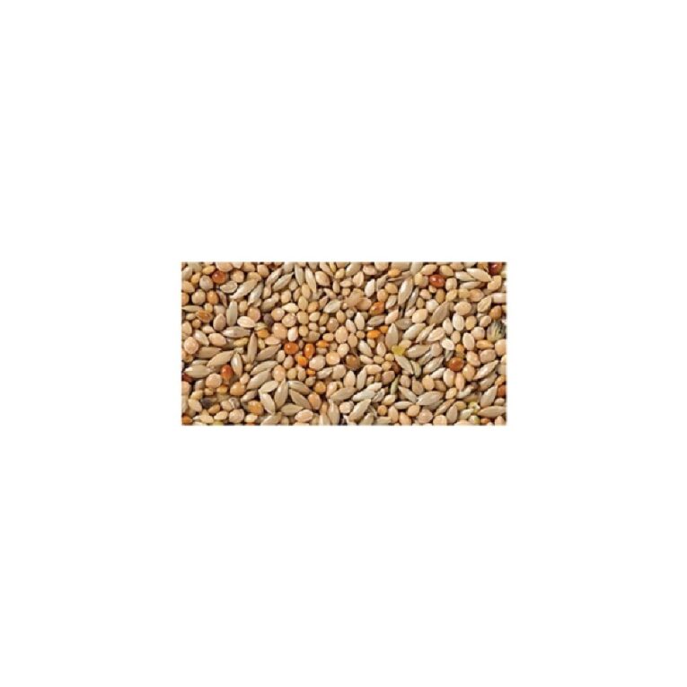 pethellas_Beyers Deli Nature 40-τροφή για παραδείσια basic.