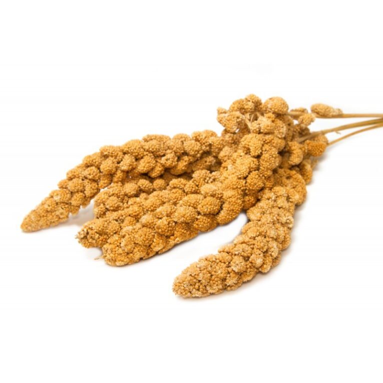 Μίλετ κλωνάρι paniko 250 gr