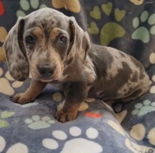 0-02-05-709434a22b393a60762be01d089a220d157fa0d08b4d6871f3cdc46afa3c04c6_fe9b506f864ceaea