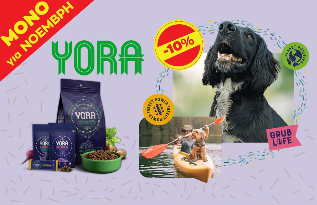 0 02 05 Ff0D329148380F718B19Bfef92B8E799281Bf25Af92D8Fe728D604098A41483C 6918768750Ce5781