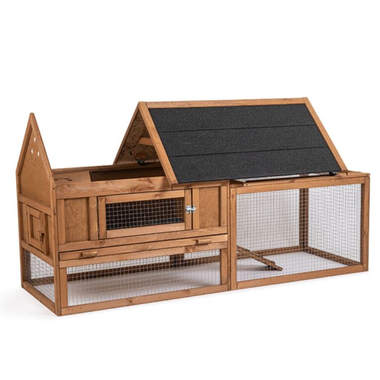 0cc36aea-2de8-11eb-b216-00505697ce7a_5411468177336.2