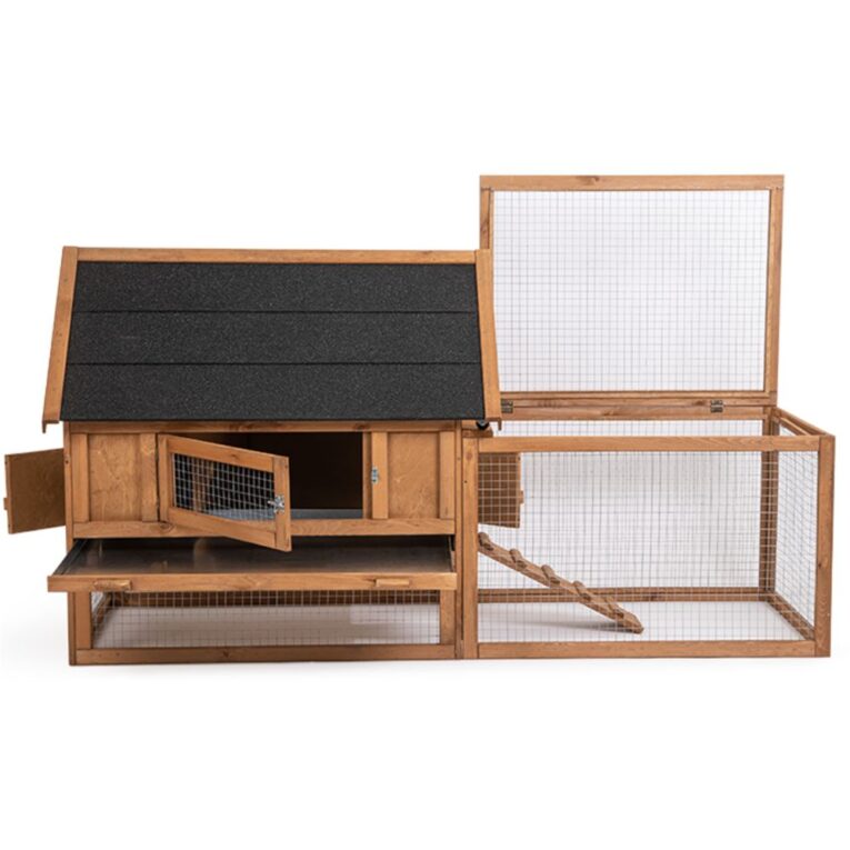 0ccbea3a-2de8-11eb-b02a-00505697ce7a_5411468177336.6