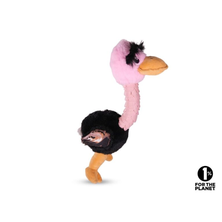 1435d19e-e5b0-11ef-aaff-00505697ce7a_5411468179286