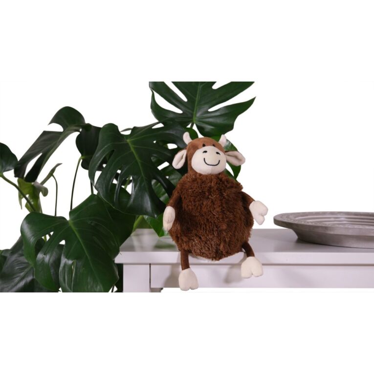 1a526c54-7549-11ef-a89f-00505697ce7a_5411468207934.SFR1