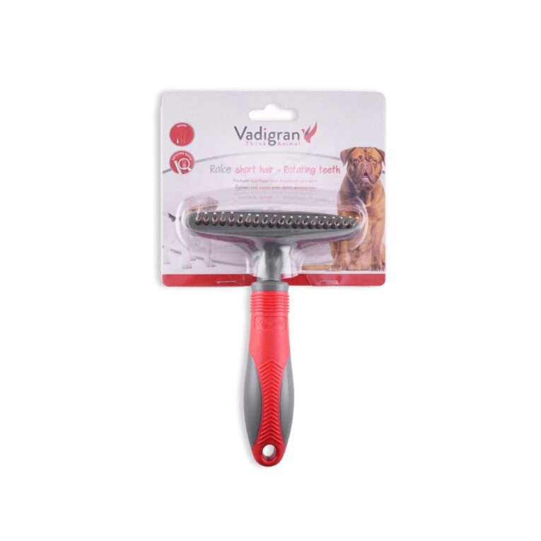 1bedea7e-7365-11ea-8b36-00505697ce7a_5411468147988.VPK1