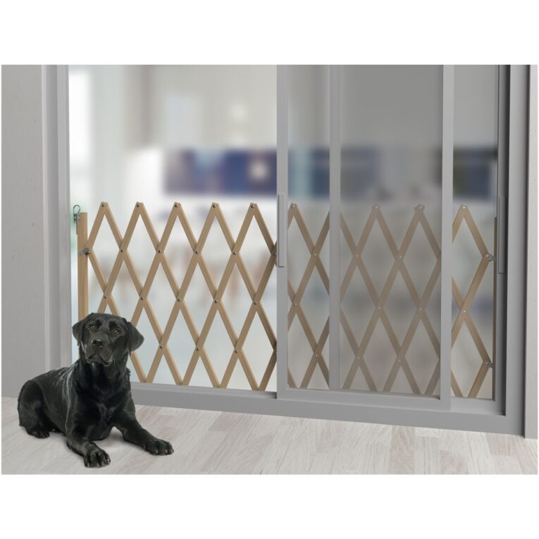 1c561dca-73ff-11ea-9583-00505697ce7a_5411468131697.1