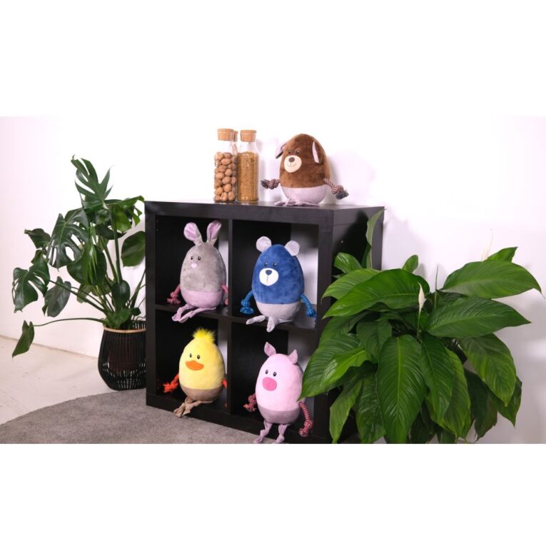 1c65362a-7549-11ef-94d7-00505697ce7a_5411468207859.SFR1