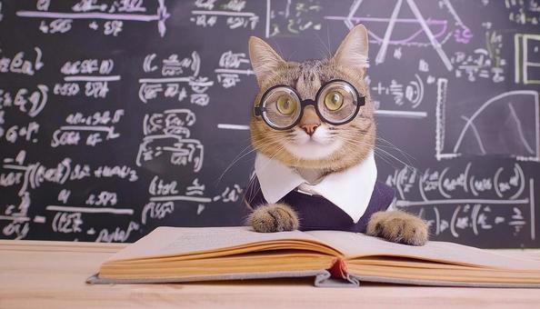 1Cb6B602F7E32Ec412D5Ed734Ad6852B T