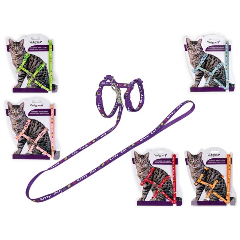 1eb33776-bd6d-11ea-8570-00505697ce7a_5411468165999.mf2