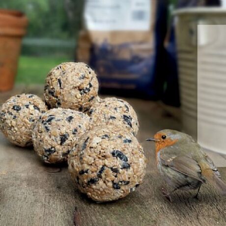 All Pet Λιχουδιά - Συμπληρωματική Τροφή Πουλιών Fat Ball