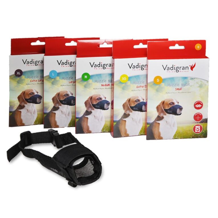 21e4c26c-e323-11ea-a59e-00505697ce7a_5411468156317.mf2