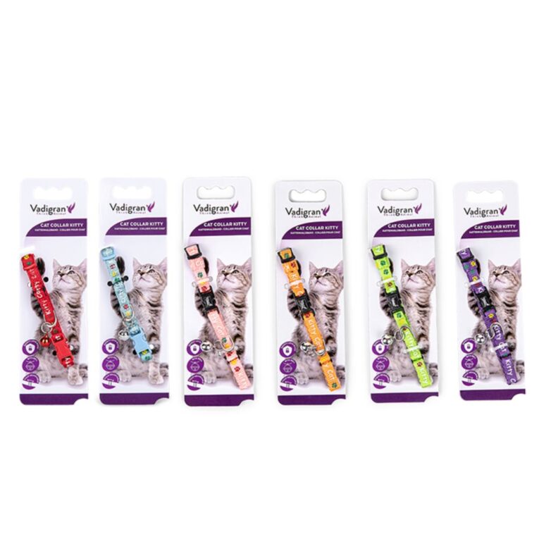 221f1ef2-bd6d-11ea-8406-00505697ce7a_5411468165876.mf1