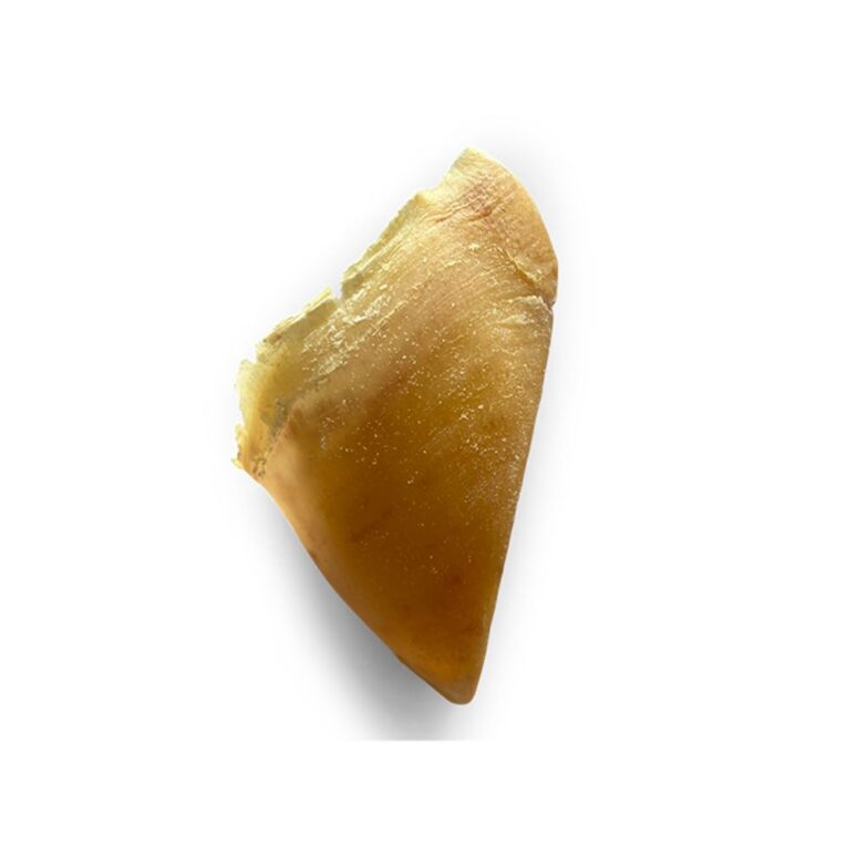 26e11258-19f7-11ee-a76e-00505697ce7a_5411468194968.1