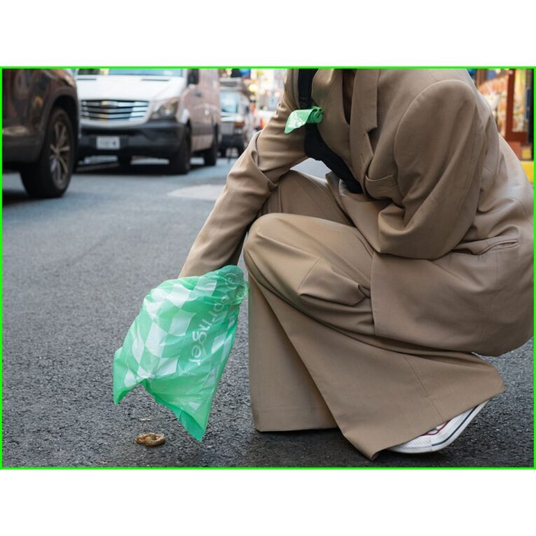 36d6513c-5123-11ef-9fee-00505697ce7a_850030722799.SFR1