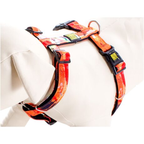 Vadigran Σαμαράκι Nylon Rio Large 46-77cm/71-98cm