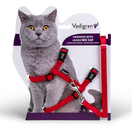 Vadigran Big Cat Σαμαράκι & Λουρί Γάτας Κόκκινο 34-57cm/120cm