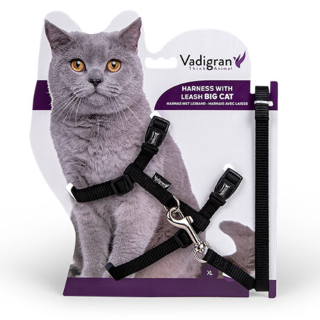 Vadigran Big Cat Σαμαράκι & Λουρί Γάτας Μαύρο 34-57cm/120cm