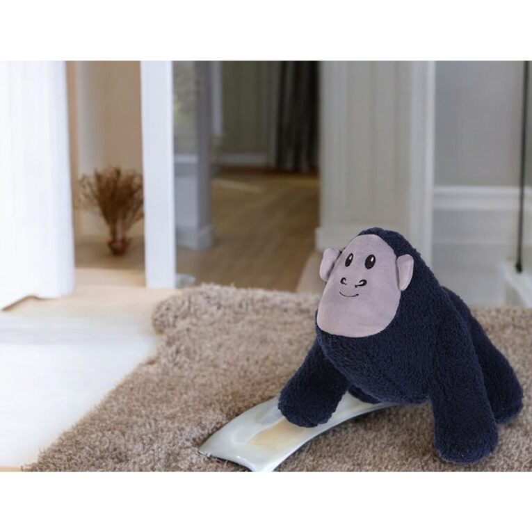 55d9da92-e7b2-11ef-92a0-00505697ce7a_5411468179323.SFR1