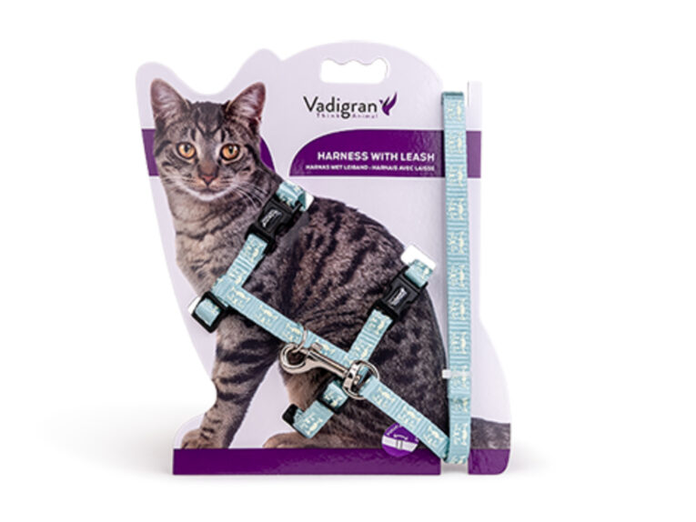 5aad9dc0-7da0-11ed-80ae-00505697ce7a_5411468189704.VPK1