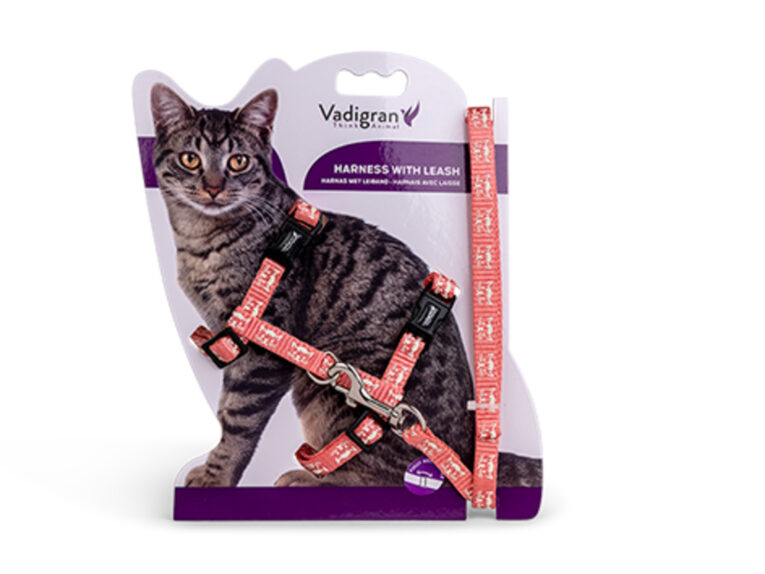 5c5c2a1a-7da0-11ed-a9bb-00505697ce7a_5411468189711.VPK1