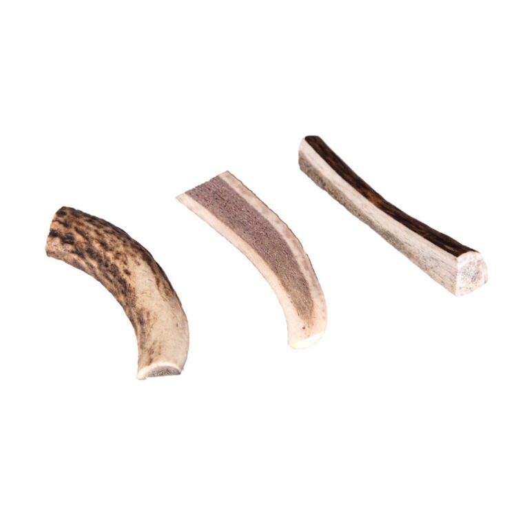 6095197e-3d7b-11ef-877e-00505697ce7a_5411468157048