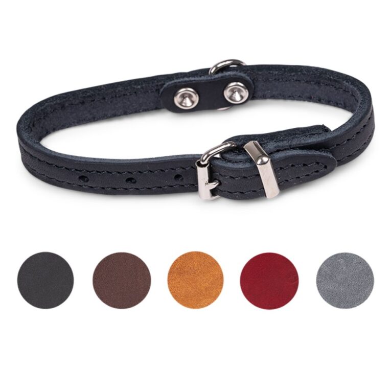 6205c34a-ff85-11ea-a1a1-00505697ce7a_5411468161441.mf5