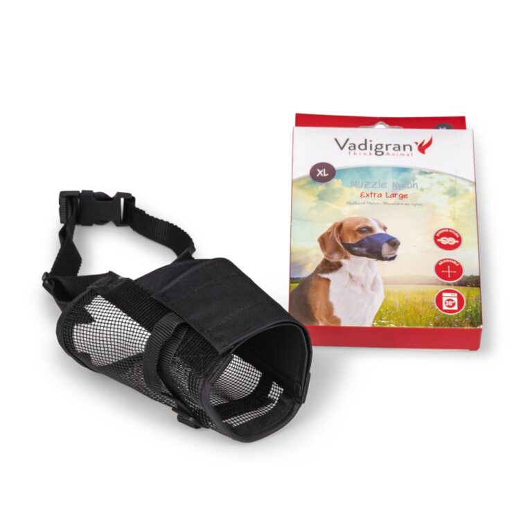 7a795a68-7362-11ea-8fee-00505697ce7a_5411468156355.1