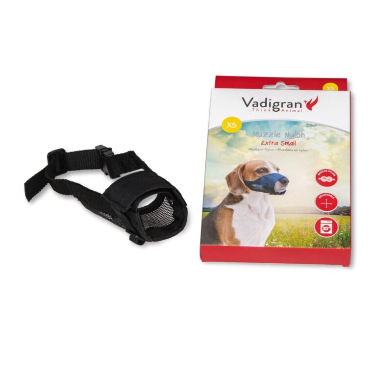 7abe1658-7362-11ea-b3cc-00505697ce7a_5411468156317