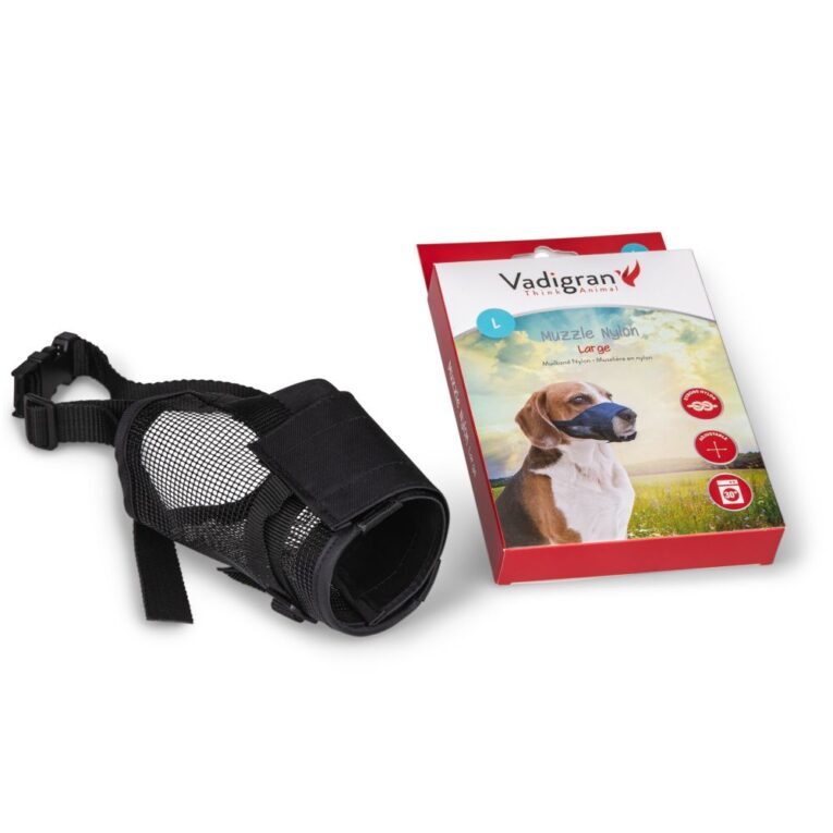 7b157858-7362-11ea-a68f-00505697ce7a_5411468156348