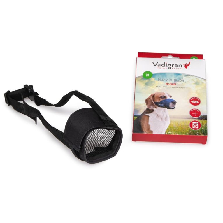 7b66543a-7362-11ea-8a15-00505697ce7a_5411468156331