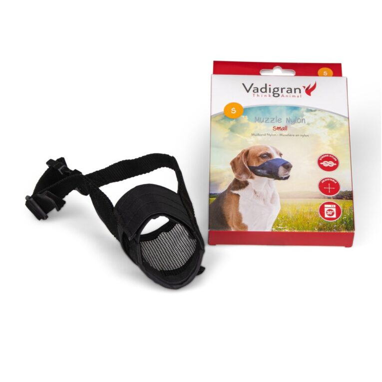 7bb6f39a-7362-11ea-8acf-00505697ce7a_5411468156324