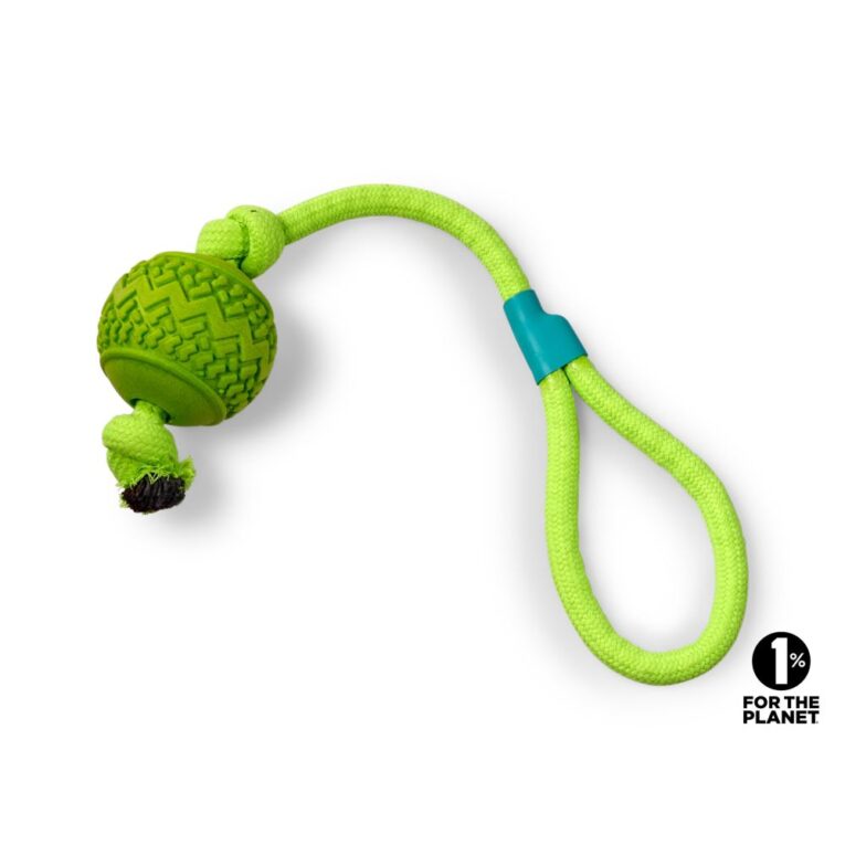 850f7426-6a48-11ef-8242-00505697ce7a_5411468283433