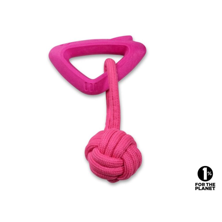 85a6590e-6a48-11ef-97fc-00505697ce7a_5411468283389