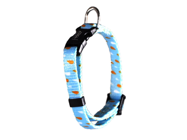 8cc7e91e-ebcc-11ee-855c-00505697ce7a_5411468197662.1