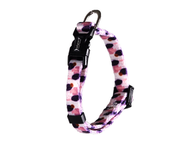 8d35de42-ebcc-11ee-a6c1-00505697ce7a_5411468197648.1