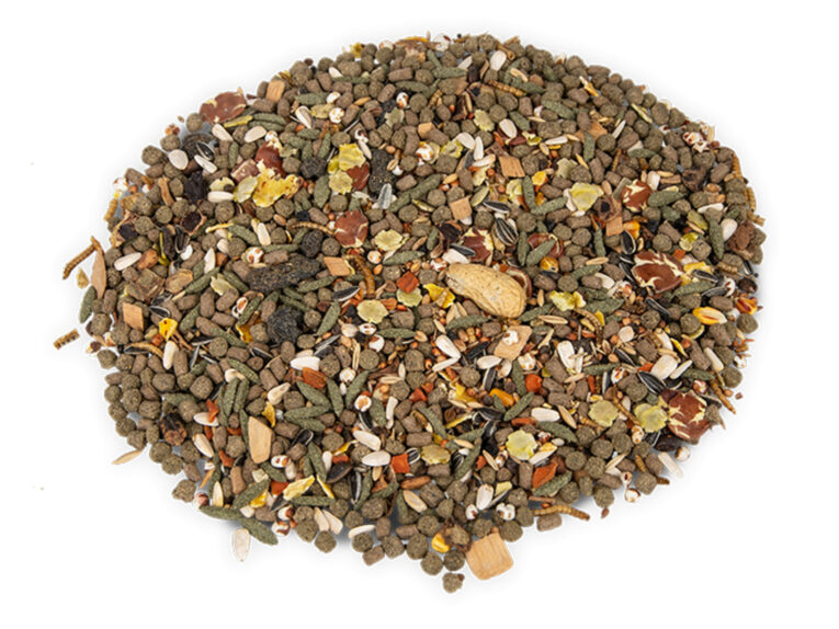 8e2c7e5e-b8fe-11eb-b467-00505697ce7a_5411468121865.det1