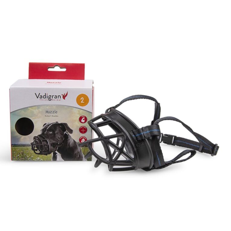 913f7b60-7362-11ea-903a-00505697ce7a_5411468165456