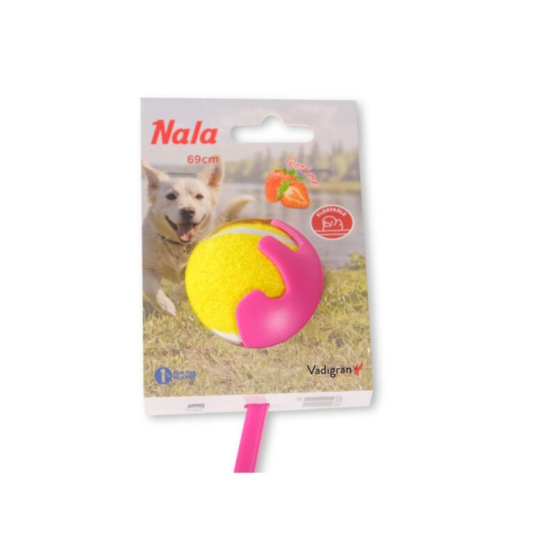 91beca06-875c-11ef-a97a-00505697ce7a_5411468283204.VPK1