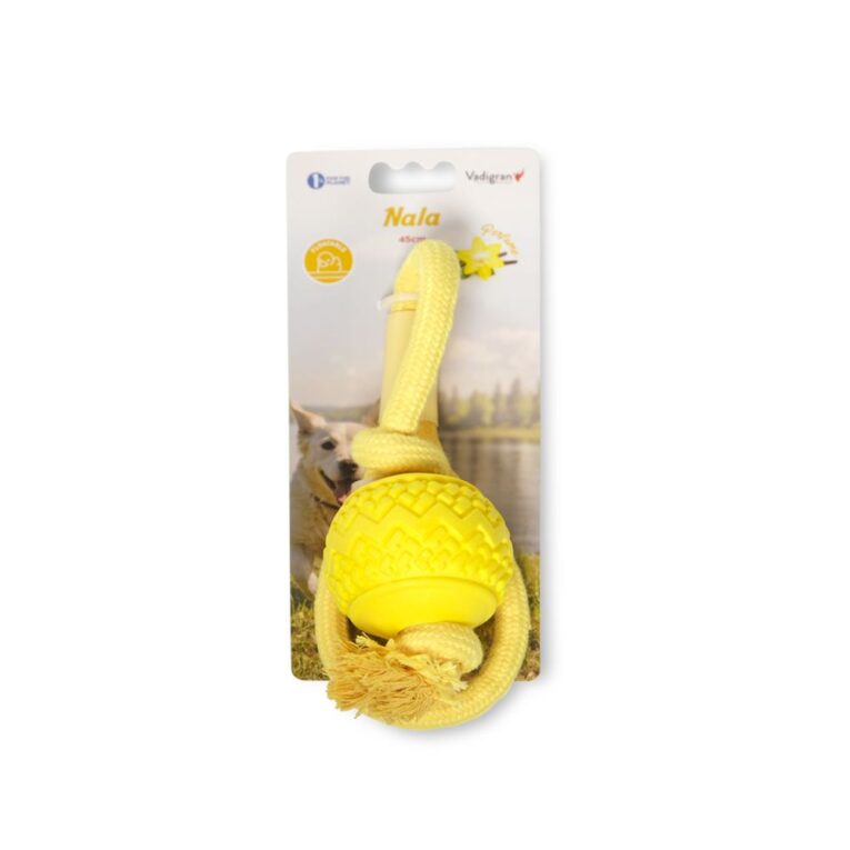 95d38384-875c-11ef-be8f-00505697ce7a_5411468283426.VPK1